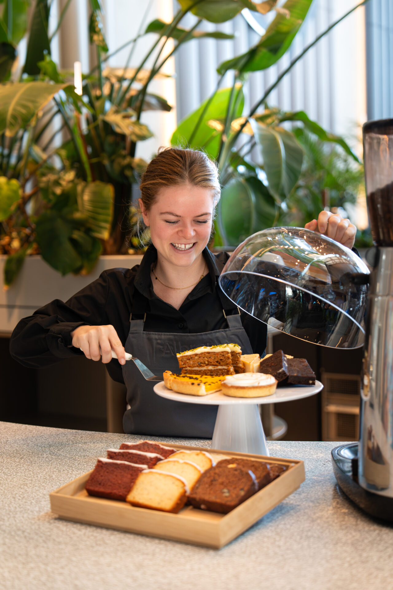 Werken bij Albron